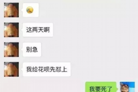 周至为什么选择专业追讨公司来处理您的债务纠纷？